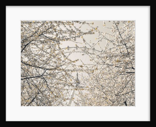 Millennium Wheel, London by Assaf Frank